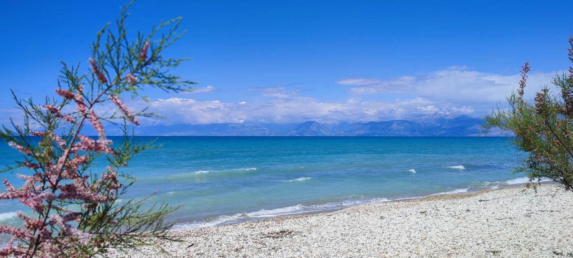 Agapi Studio Acharavi A 50M De La Mer, 400M Du Centre Ville Εξωτερικό φωτογραφία
