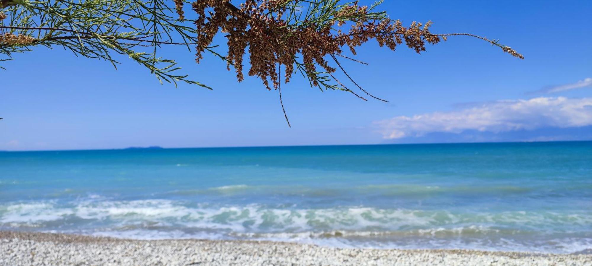 Agapi Studio Acharavi A 50M De La Mer, 400M Du Centre Ville Εξωτερικό φωτογραφία